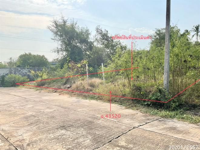 ที่ดินว่างเปล่าหลุดจำนอง ธ.ธนาคารกสิกรไทย ประจวบคีรีขันธ์ ปราณบุรี หนองตาแต้ม