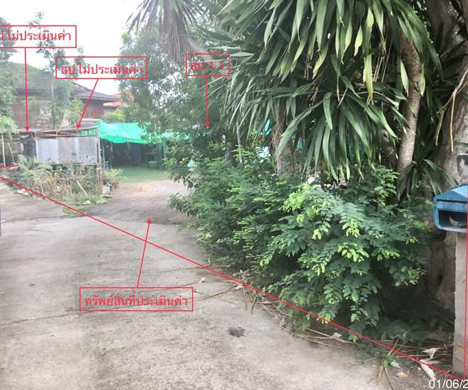 บ้านเดี่ยวหลุดจำนอง ธ.ธนาคารกสิกรไทย ประจวบคีรีขันธ์ กุยบุรี ดอนยายหนู